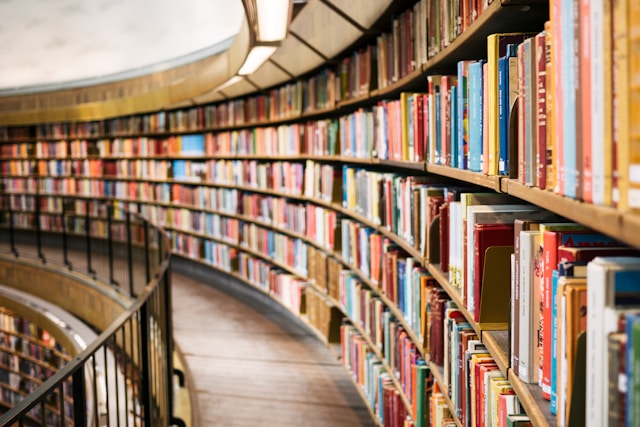 The picture shows shelves full of books to represent education.