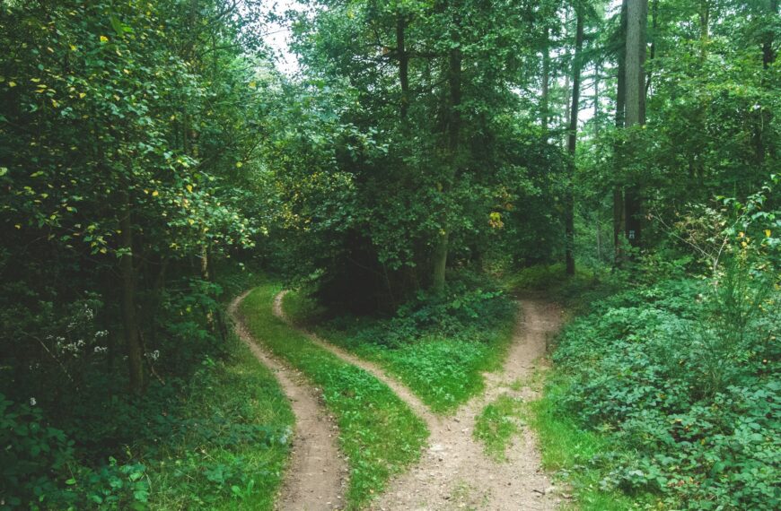 When Markets Shrink: What Higher Ed Can Learn From Healthcare, Hospitality, and Media